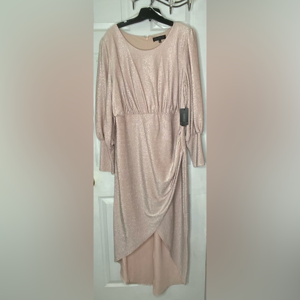 Light Pink High-Low Gown with Long Bishop Sleeves for Various Events. NWT